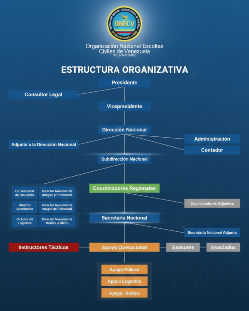 estructura onecv